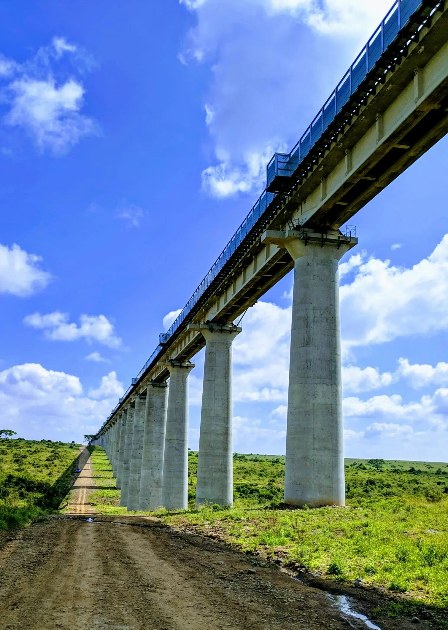 New Railway in National Park, Nairobi, Kenya