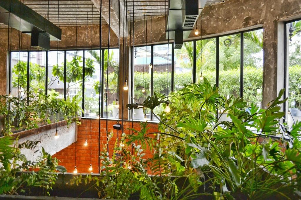 Bright space featuring lush indoor plants and large windows with daylight.