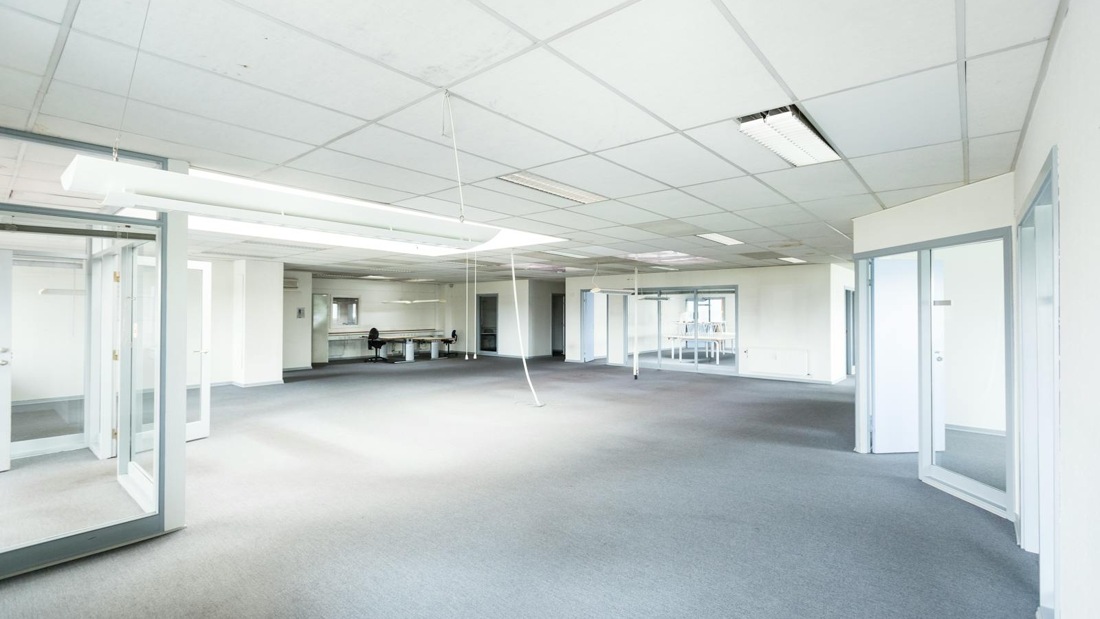 Bright empty office space featuring minimalist design and glass partitions.