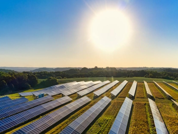 Aerial view of a solar farm with solar panels harnessing the sun's energy.